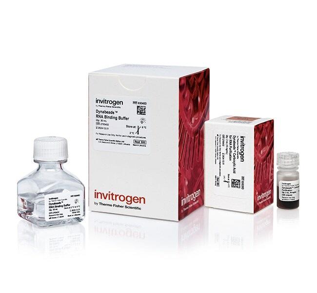 Dynabeads RNA Purification Kit | 製品情報 | ベリタス